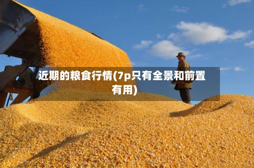 近期的粮食行情(7p只有全景和前置有用)