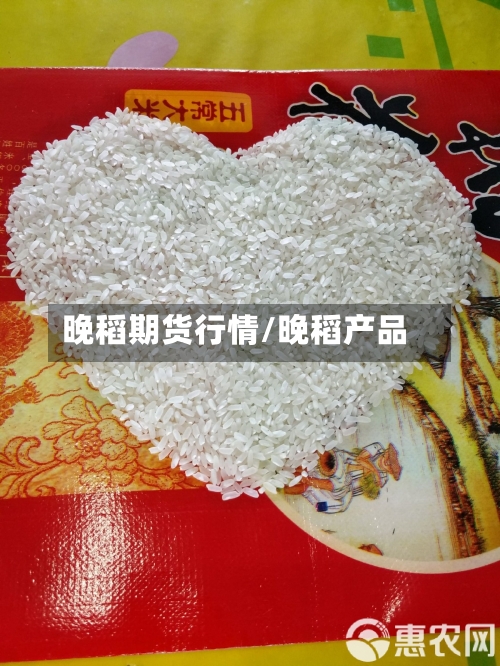 晚稻期货行情/晚稻产品-第2张图片