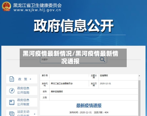 黑河疫情最新情况/黑河疫情最新情况通报-第2张图片