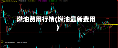 燃油费用行情(燃油最新费用)-第3张图片