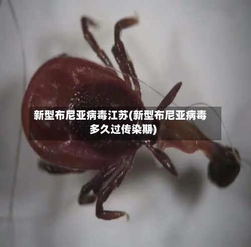 新型布尼亚病毒江苏(新型布尼亚病毒多久过传染期)