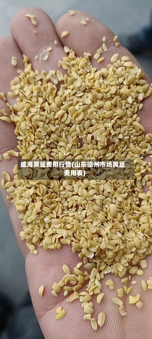 威海黄豆费用行情(山东德州市场黄豆费用表)