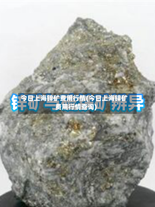 今日上海锌矿费用行情(今日上海锌矿费用行情查询)