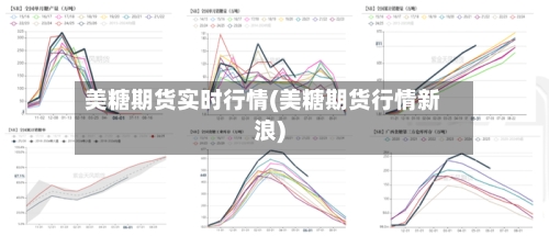 美糖期货实时行情(美糖期货行情新浪)-第2张图片