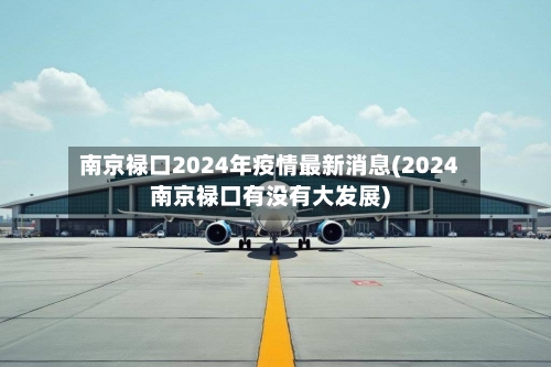 南京禄口2024年疫情最新消息(2024南京禄口有没有大发展)-第2张图片