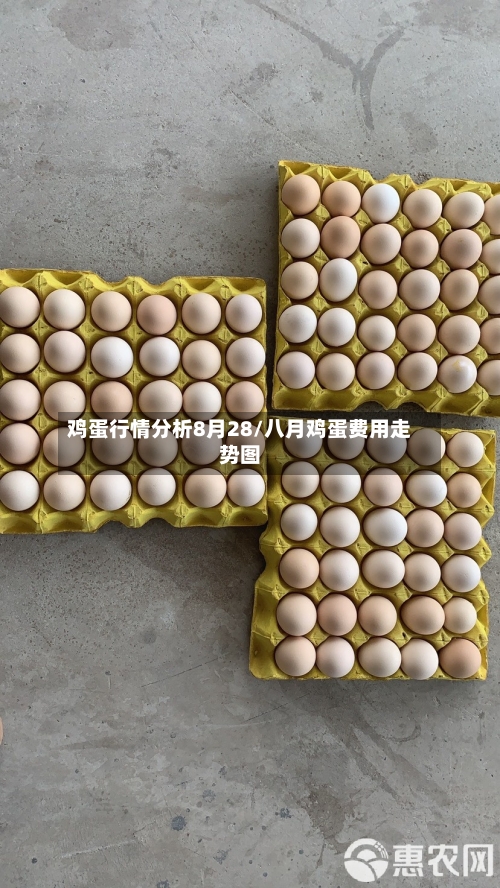 鸡蛋行情分析8月28/八月鸡蛋费用走势图