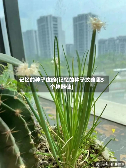 记忆的种子攻略(记忆的种子攻略哪5个神器使)