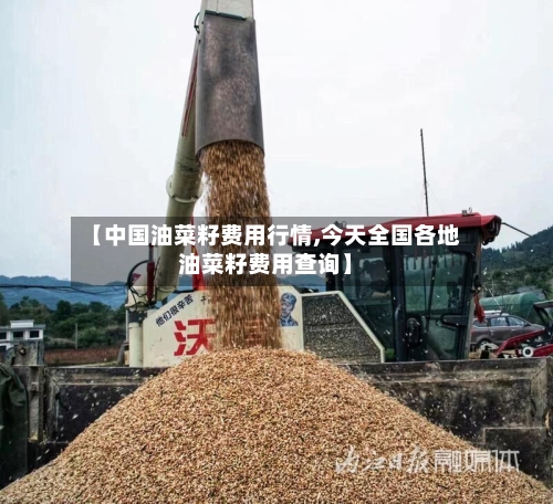 【中国油菜籽费用行情,今天全国各地油菜籽费用查询】-第2张图片