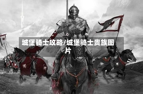 城堡骑士攻略/城堡骑士贵族图片-第2张图片