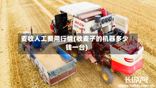 麦收人工费用行情(收麦子的机器多少钱一台)