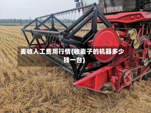 麦收人工费用行情(收麦子的机器多少钱一台)-第3张图片