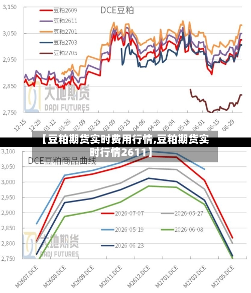 【豆粕期货实时费用行情,豆粕期货实时行情2611】-第3张图片