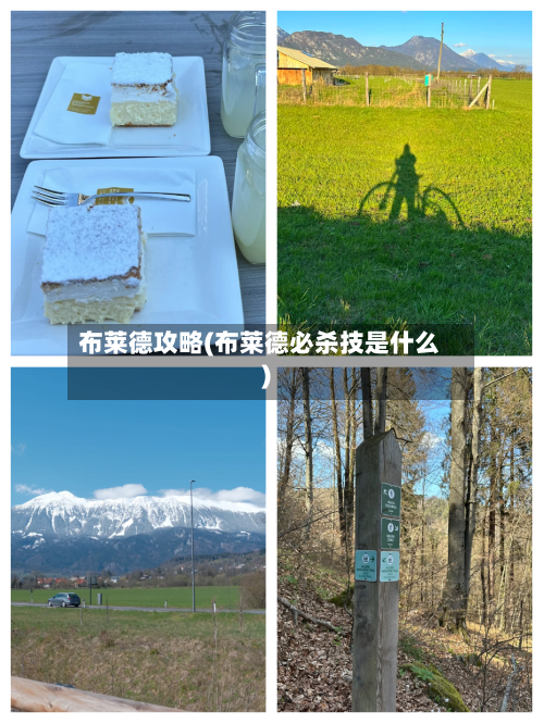 布莱德攻略(布莱德必杀技是什么)