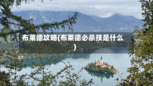布莱德攻略(布莱德必杀技是什么)-第2张图片