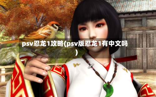 psv忍龙1攻略(psv版忍龙1有中文吗)-第3张图片