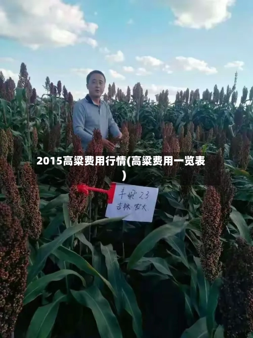 2015高粱费用行情(高粱费用一览表)