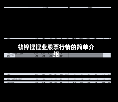 赣锋锂锂业股票行情的简单介绍-第2张图片