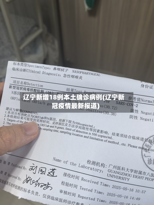 辽宁新增18例本土确诊病例(辽宁新冠疫情最新报道)-第3张图片
