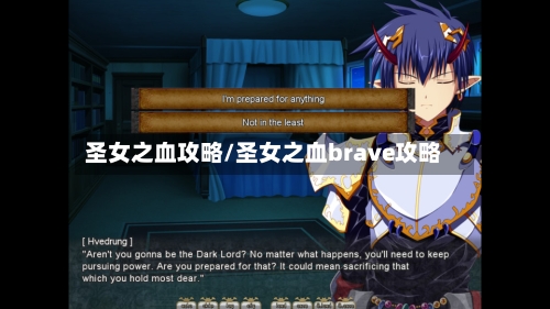 圣女之血攻略/圣女之血brave攻略