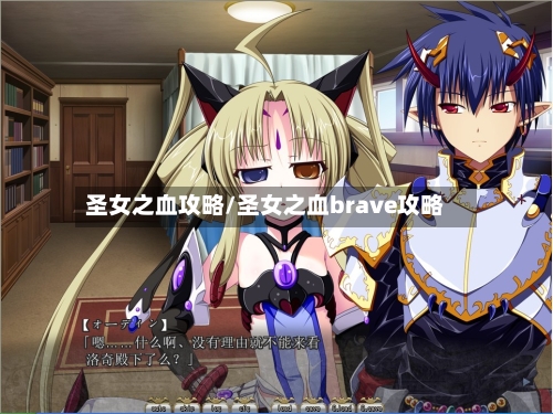 圣女之血攻略/圣女之血brave攻略-第3张图片