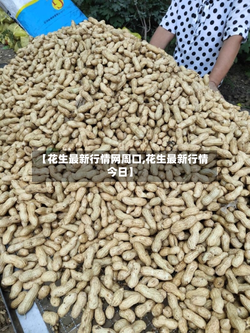 【花生最新行情网周口,花生最新行情今日】