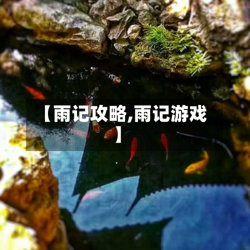 【雨记攻略,雨记游戏】-第2张图片