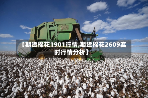 【期货棉花1901行情,期货棉花2609实时行情分析】-第2张图片