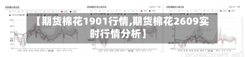 【期货棉花1901行情,期货棉花2609实时行情分析】-第3张图片