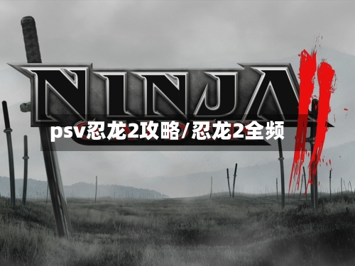 psv忍龙2攻略/忍龙2全频