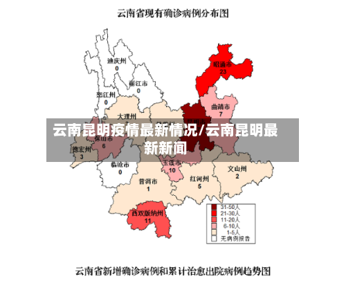 云南昆明疫情最新情况/云南昆明最新新闻-第2张图片
