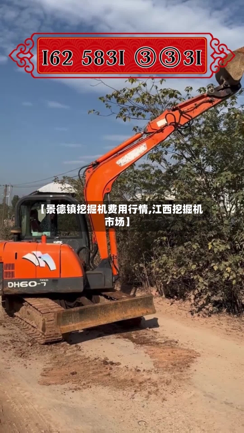 【景德镇挖掘机费用行情,江西挖掘机市场】