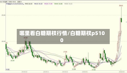 哪里看白糖期权行情/白糖期权p5100