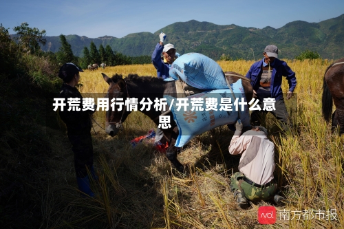 开荒费用行情分析/开荒费是什么意思