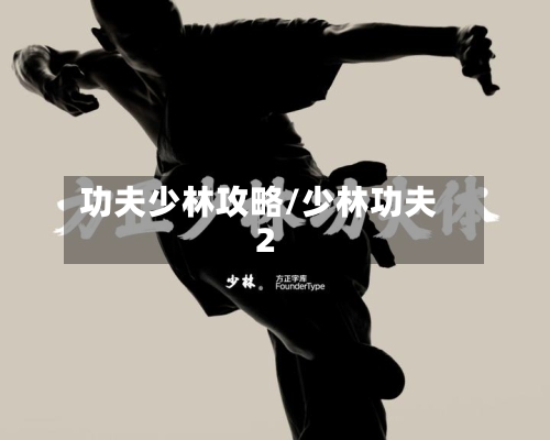 功夫少林攻略/少林功夫2