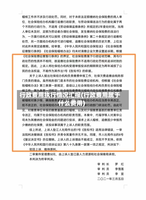 行政费用执行情况汇报(行政费用属于什么费用)