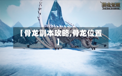 【骨龙副本攻略,骨龙位置】