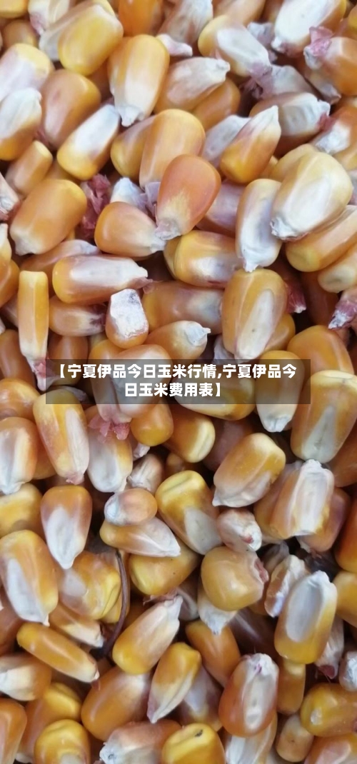 【宁夏伊品今日玉米行情,宁夏伊品今日玉米费用表】-第3张图片