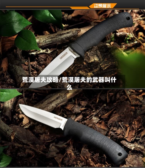 荒漠屠夫攻略/荒漠屠夫的武器叫什么