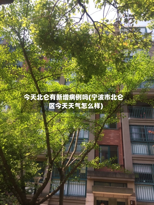 今天北仑有新增病例吗(宁波市北仑区今天天气怎么样)-第2张图片