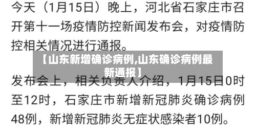 【山东新增确诊病例,山东确诊病例最新通报】-第2张图片