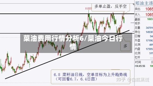 菜油费用行情分析6/菜油今日行情