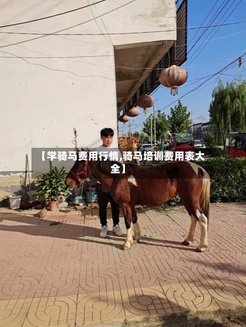【学骑马费用行情,骑马培训费用表大全】
