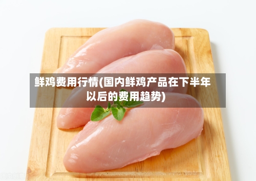 鲜鸡费用行情(国内鲜鸡产品在下半年以后的费用趋势)