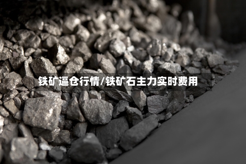 铁矿逼仓行情/铁矿石主力实时费用