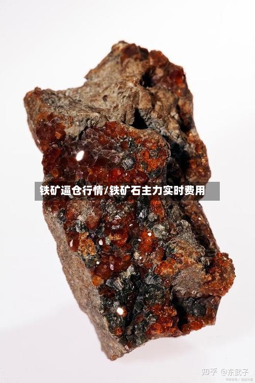 铁矿逼仓行情/铁矿石主力实时费用-第3张图片