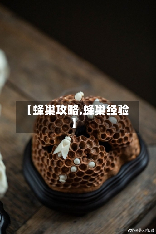 【蜂巢攻略,蜂巢经验】