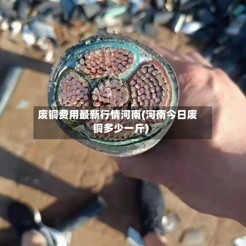 废铜费用最新行情河南(河南今日废铜多少一斤)