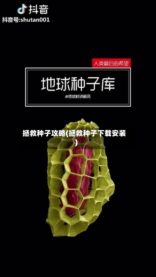 拯救种子攻略(拯救种子下载安装)