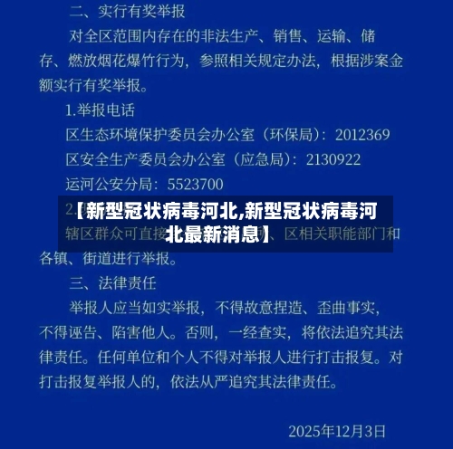 【新型冠状病毒河北,新型冠状病毒河北最新消息】-第2张图片