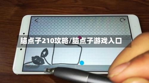 脑点子210攻略/脑点子游戏入口